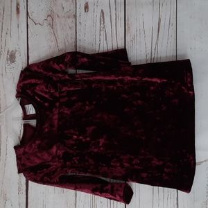 Healthtex Velvet Baby Dress